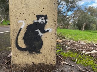 A stencil of a rakali (fomerly known as a water rat) A stencil of a rakali (fomerly known as a water rat)