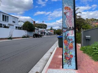 Pink cockatoo Pink cockatoo