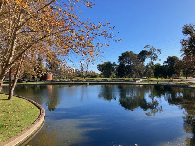 Rymill Park Lake Rymill Park Lake