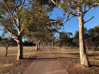 Golden Wattle Park / Mirnu Wirra⁩