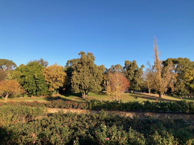 Veale Gardens Veale Gardens