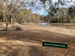 Playford Lake looking very dry Playford Lake looking very dry