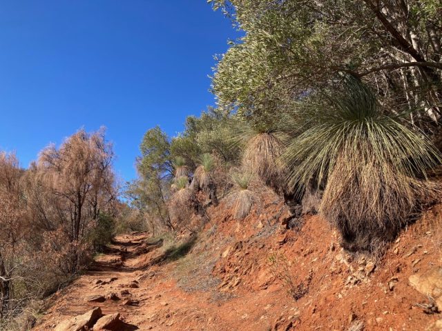 On the trail On the trail