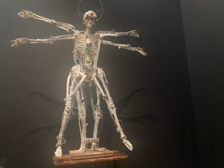 Human body Human body