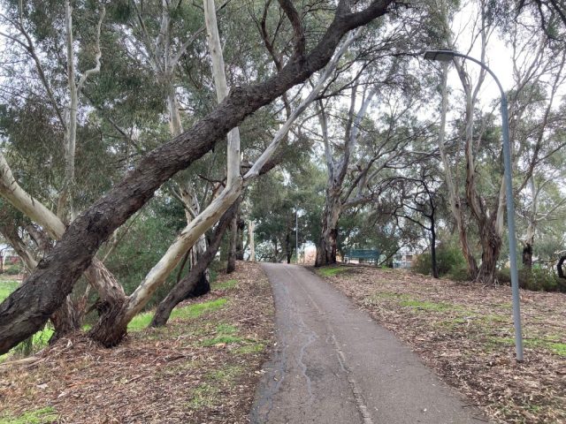 The trail in West Hindmarsh The trail in West Hindmarsh