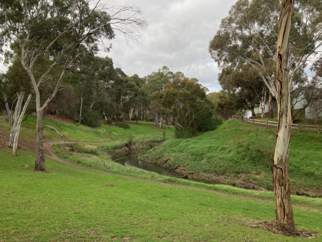 View of the River Torrens View of the River Torrens