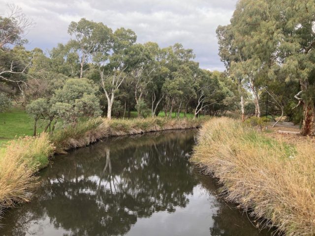 River Torrens in Kidman Park River Torrens in Kidman Park