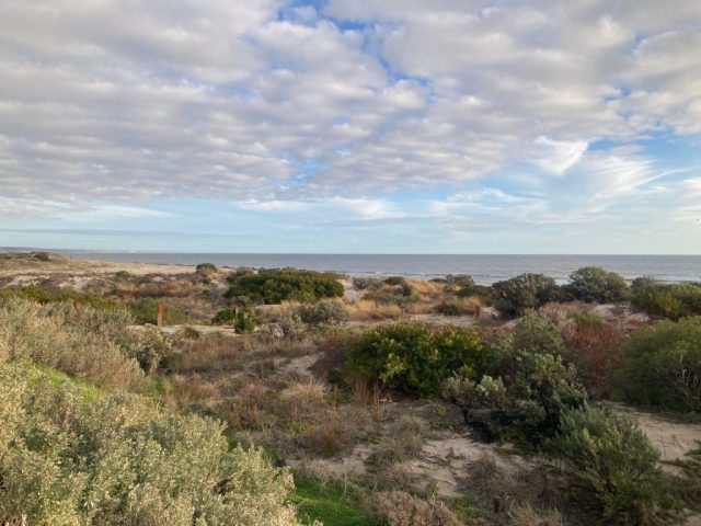 The ocean at Henley Beach The ocean at Henley Beach