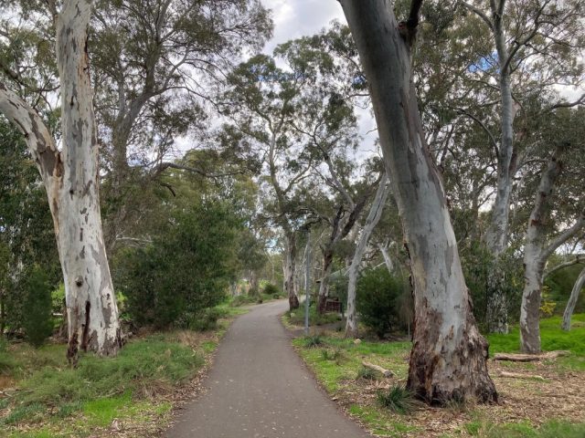 On the trail in Klemzig