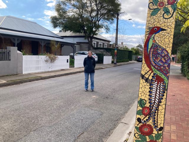 CC and a lyrebird CC and a lyrebird