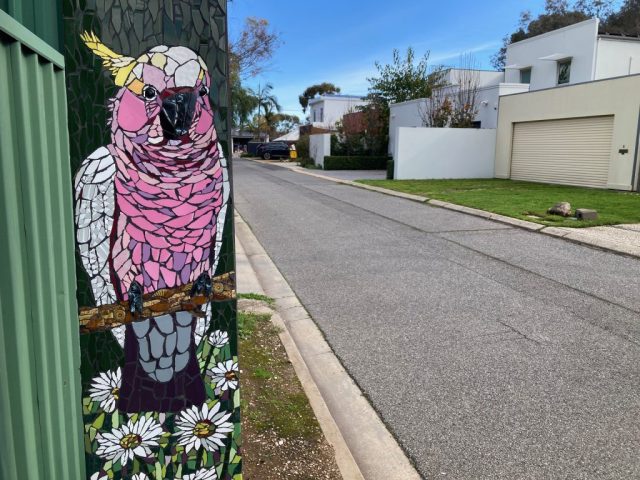 Hybrid cockatoo? Hybrid cockatoo?