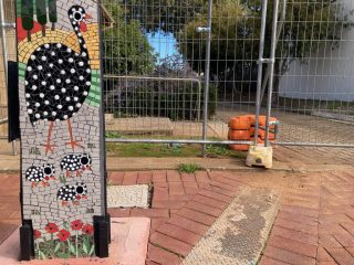 Guinea fowl Guinea fowl