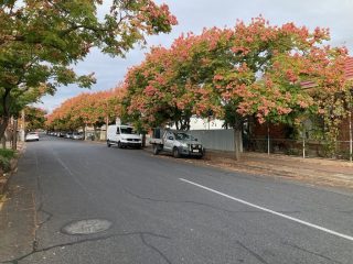 It was autumn when we arrived in Parkside