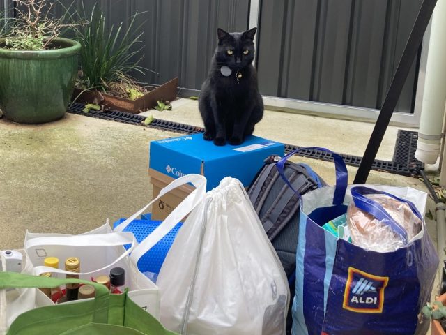 ML helping us pack up before we leave