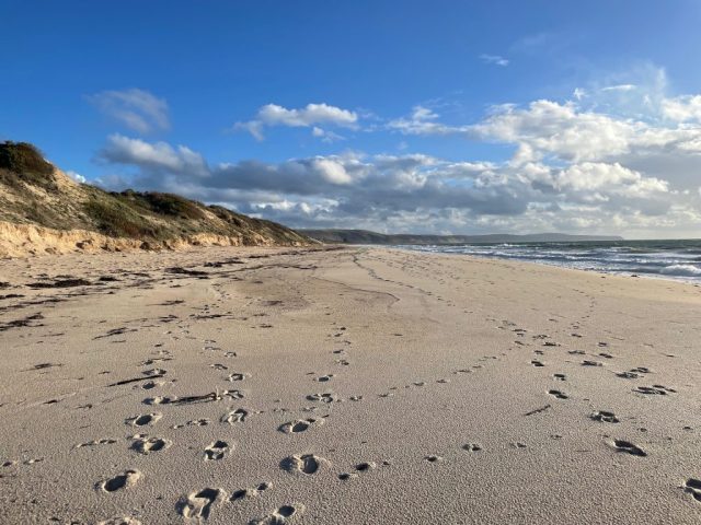 Looking towards Normanville from our access point