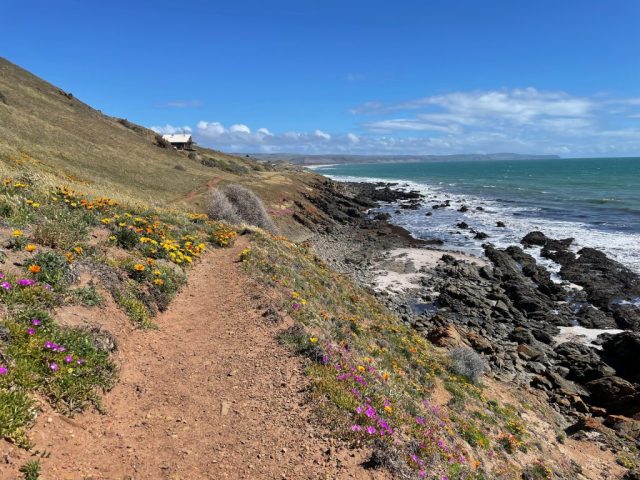 Track on Carrickalinga Headland