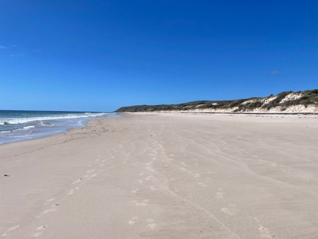 Looking towards Carrickalinga
