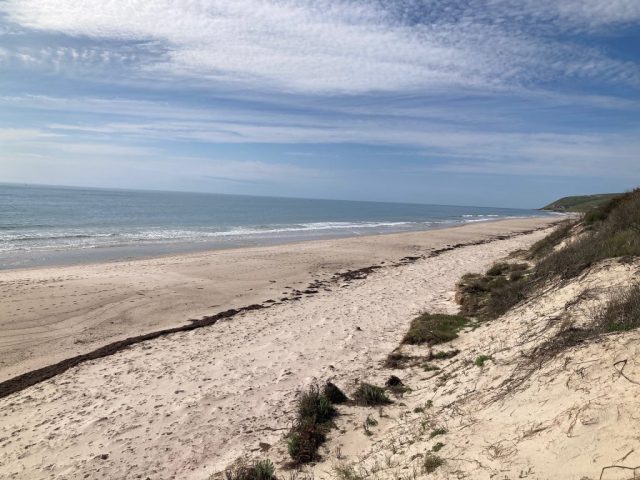 Normanville Beach at our point of access