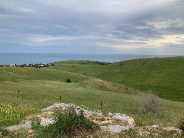 View from Forktree Brewing