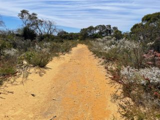 On the trail from Waitpinga Beach