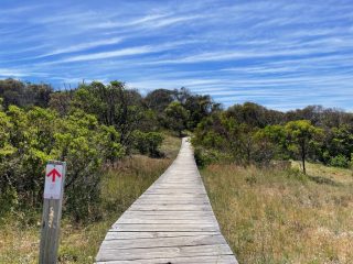 Boardwalk on the trail behind the cliffs
