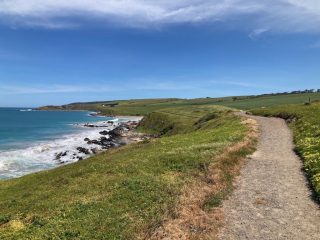 Near the start of the trail from The Bluff