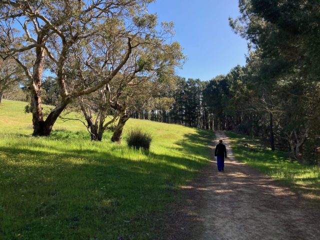 CC on the Kestrel Loop