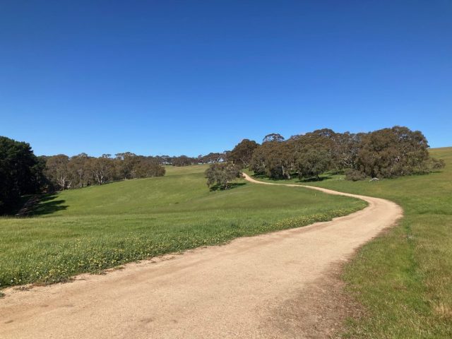 Along the ridge on the Kestrel Loop