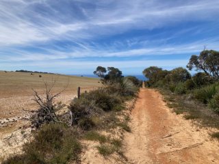 Trail down to the cliffs