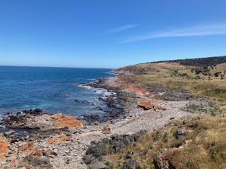 View towards Cape Jervis