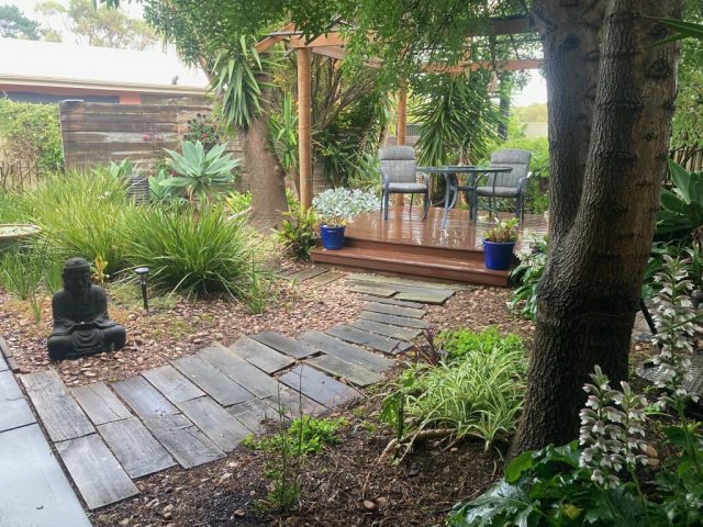 The garden in the rain