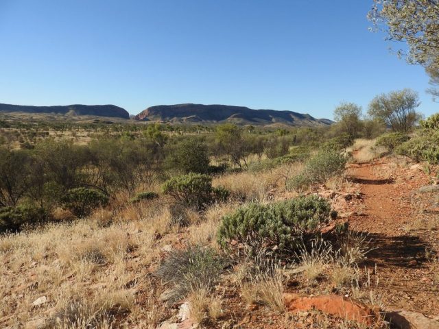 View from the Woodland Trail