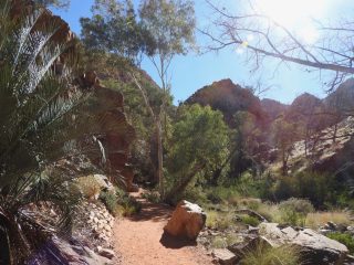 Track to Standley Chasm