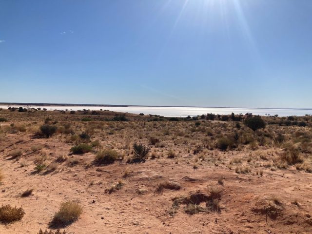 Lake Hart rest area on the way to Coober Pedy Lake Hart rest area on the way to Coober Pedy