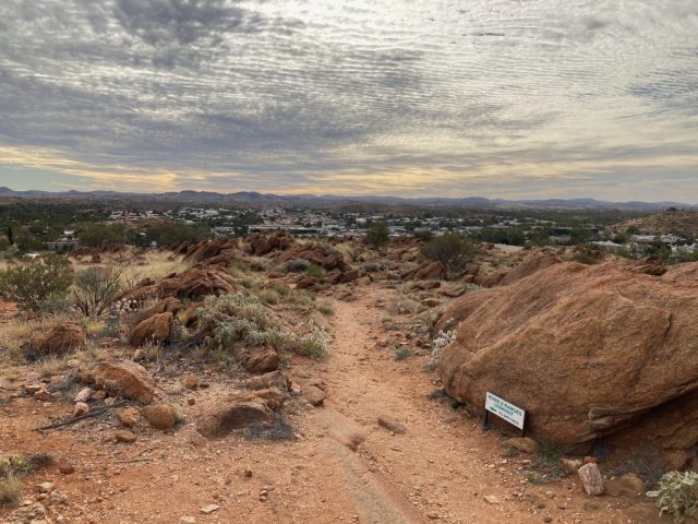 On top of the hill in the Botanic Garden