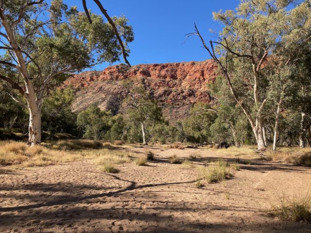 Starting the Panorama Walk at ground level