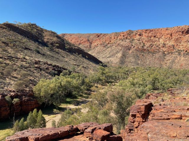 Heading off on the Ridgetop Walk