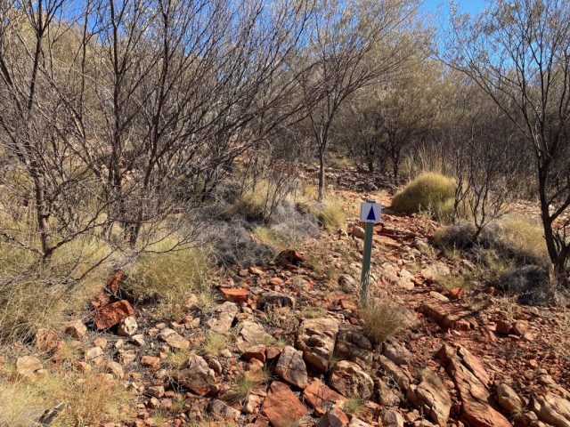 Rough trail on the Ridgetop Walk