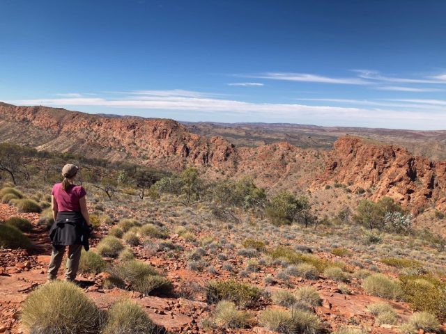 CC enjoys the view from the Ridgetop Walk