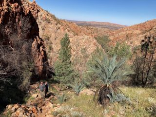 On the Larapinta Trail section 3