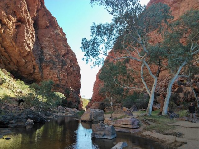 Simpsons Gap viewed from the creek
