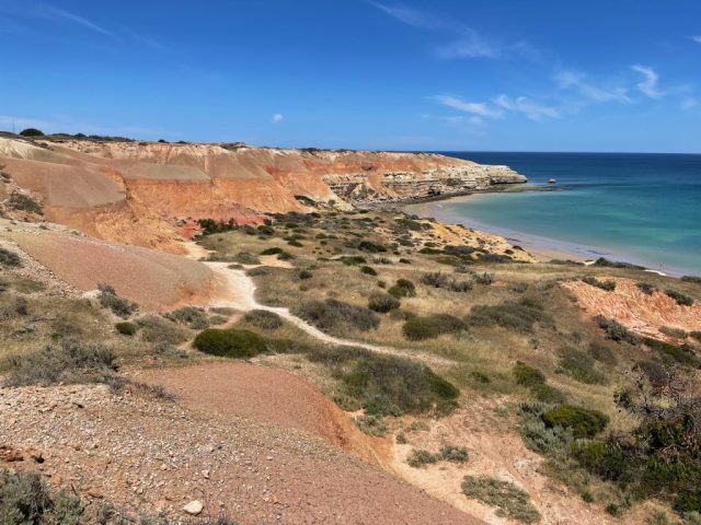 Red cliffs of Maslin Beach