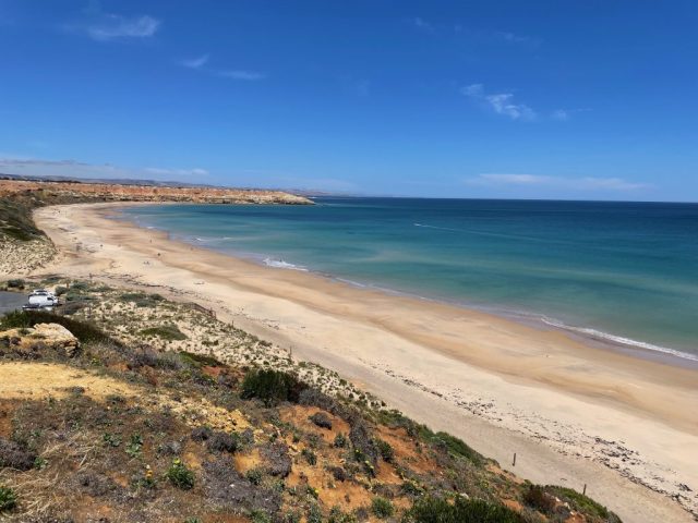 Maslin Beach looking south