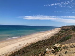 Maslin Beach looking north