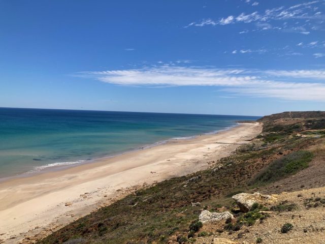 Maslin Beach looking north