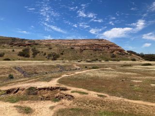 Tracks behind Maslin Beach