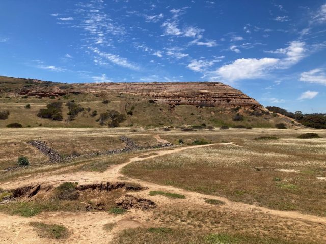 Tracks behind Maslin Beach