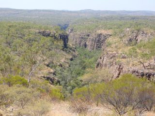 View of the gorge from the trail View of the gorge from the trail