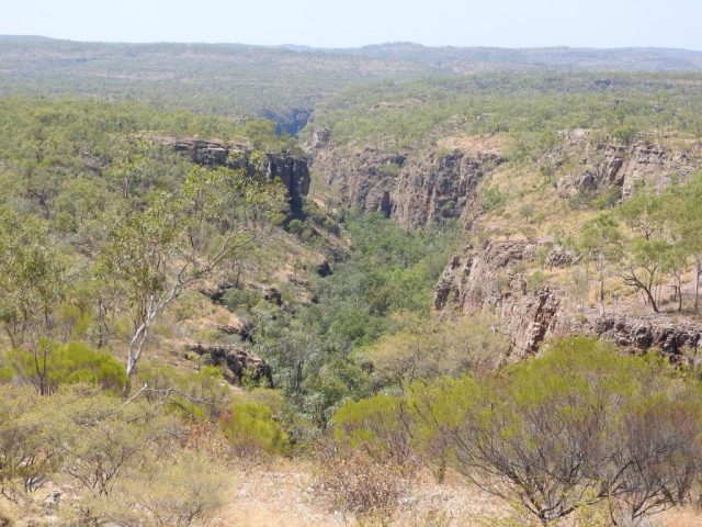 View of the gorge from the trail View of the gorge from the trail