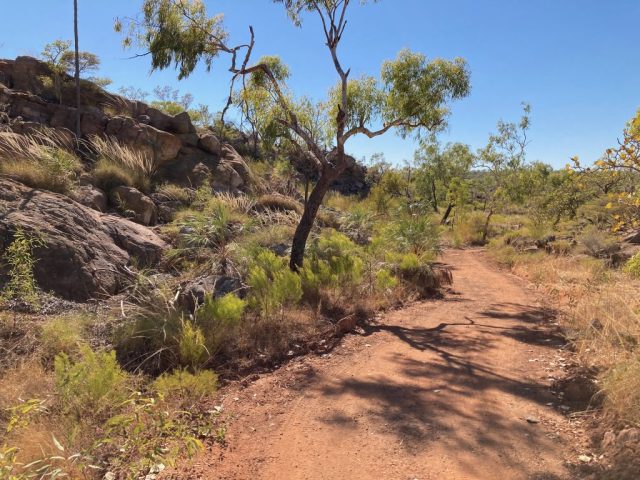 On the Yambi Walk On the Yambi Walk